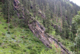 Nangqiang Forest Reserve, Qinghai