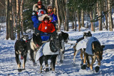 Iditarod37_Anc_07Mar2009_ 061.JPG