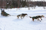 Iditarod37_Willow_08Mar2009_ 008_Iten.JPG