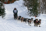 Iditarod37_Willow_08Mar2009_ 035_Swenson.JPG