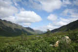 HatcherPass_18Jul2009_ 014.JPG