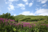 HatcherPass_18Jul2009_ 041.JPG