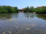 Laguna portion of resort