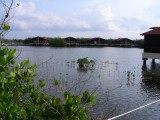 Laguna