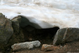 snow hole