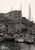 Bonifacio