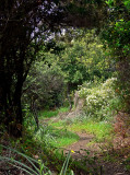 the path along the beach.