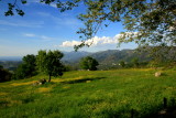 le printemps corse.