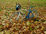 ma bicyclette bleue