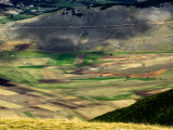 piano di cinquemiglia # 3