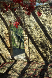 Roccascalegna # 14