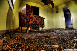 The Yellow Room With Orange Chair