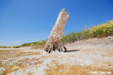 Natural Art