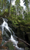 GERARDMER.Cascade de la Mérelle