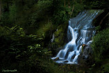 Le VALTIN.The Spring of the Lovely Knight