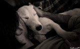 Time of Tendress.2010 JOJO and Mimich..