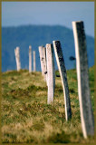 HONECK.Fence