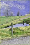 La BRESSE.POND on the HILL