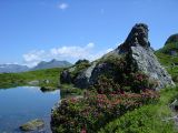 Aengiseeli