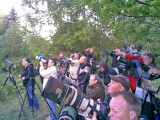 Melodious Warbler - twitchers