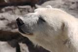 Zoo-015