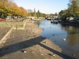 Looking down from Eel Pie bridge.