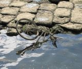 River bed detritus.