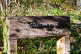 Bassie Woods