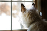 TOO COLD TO PLAY OUTSIDE