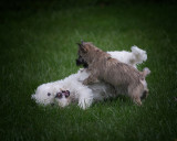 ...So the next time I tell you to get out of the way.......