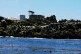 Monterey, CA