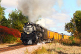 Union Pacific 3985 Org, MN
