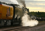 Union Pacific 3985 St. James, MN