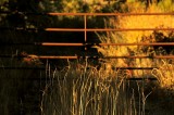 End of the Road