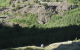 We enter a forest, taking us out of the dry terrain at the bottom of the canyon.