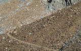 The trail over red slate rock, with John somewhere next to Waldo - uh, where IS Waldo?
