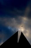Beam me up, Scotty