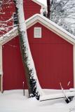 Rubies In The Snow.