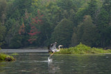 Henderson Lake