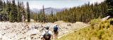 Wheeler Peak along Trail