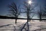 Winter SceneJanuary 7, 2006