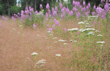 DPC_0467.jpg