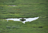 DSC_6479.jpg