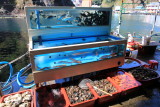 Just pick your living sea creatures. Three minutes later...