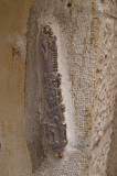 P9261881_mezzuzah old city2.jpg