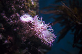 _MG_7790r.jpg