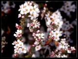 25 FEB 08