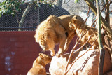 Ang - African Lions