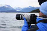 Whale watching with Orca Enterprises in Juneau, AK