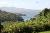 View of Lake Arenal from Chalet Nicholas front yard